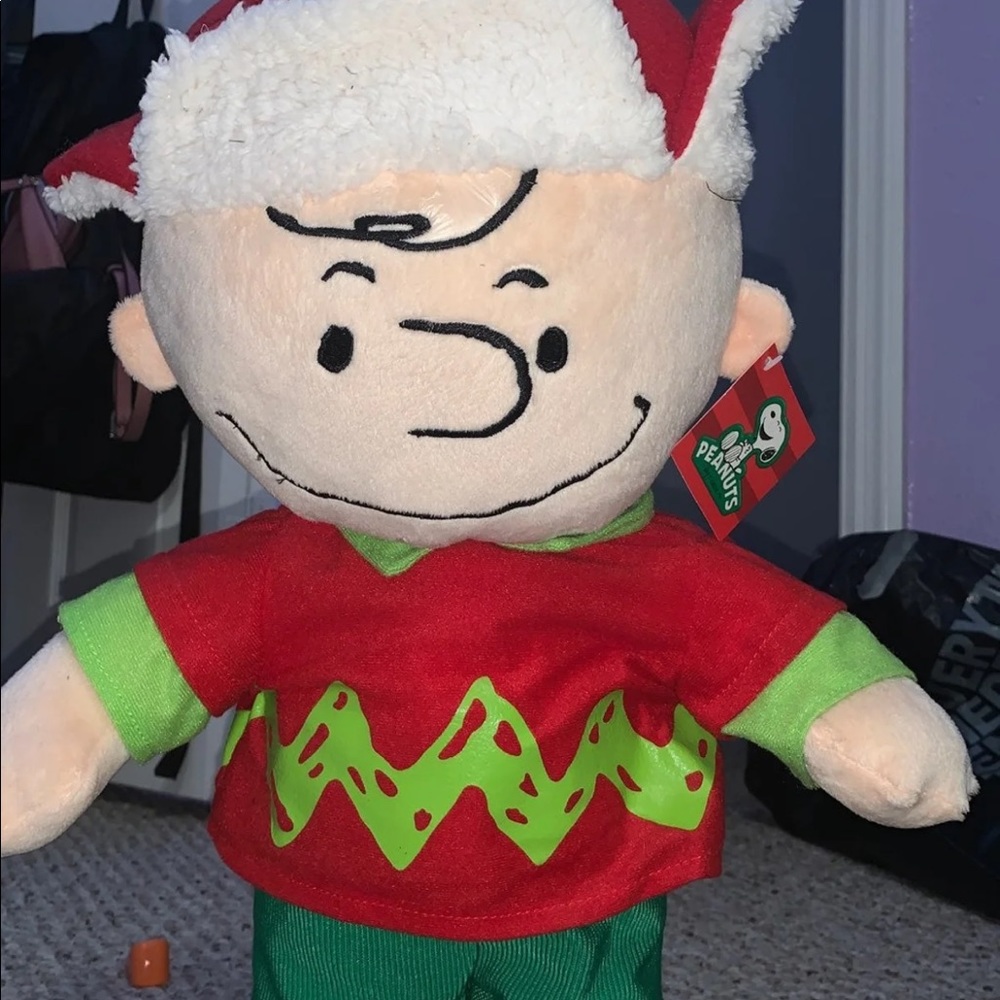 Charlie Brown Decorative Item
